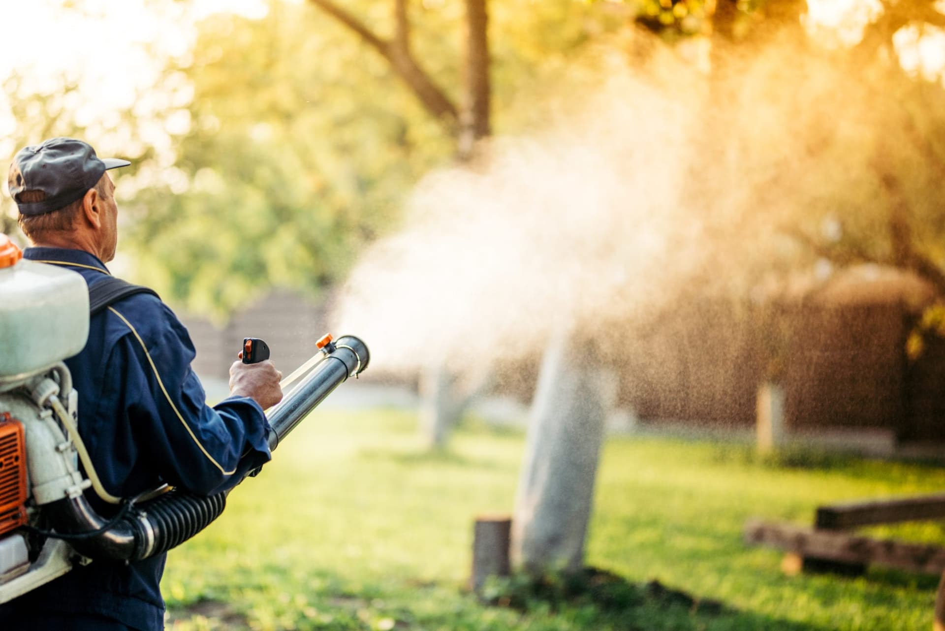 Kammerjäger Notdienst: Wissenschaftliche Methoden für effektive Schädlingsbekämpfung